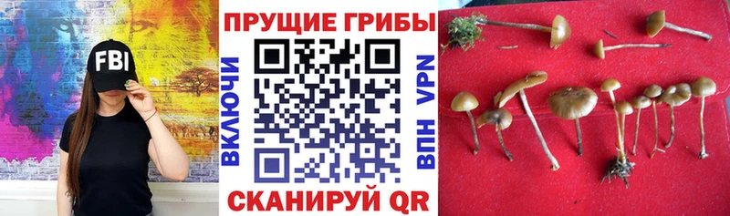 Галлюциногенные грибы GOLDEN TEACHER Сельцо